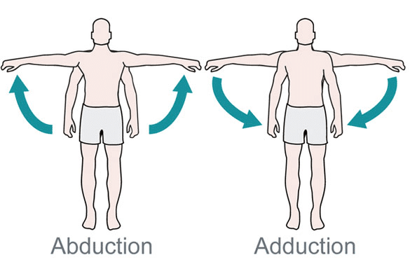 example of abduction and adduction