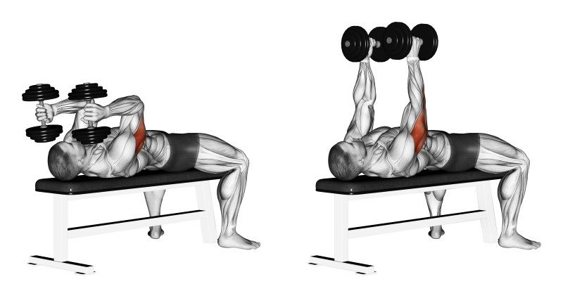 image of dumbbell skull crusher