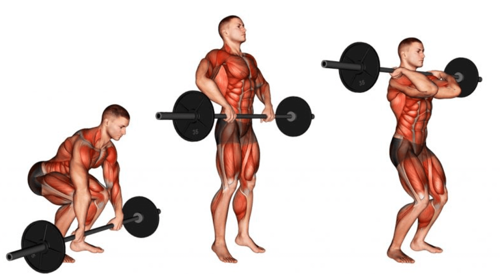 man performing clean and press with barbell, specific muscles highlighted. 