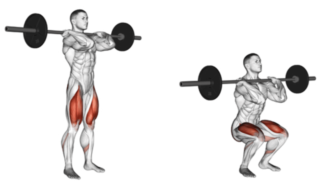 diagram of man performing front squat with muscles highlighted. 