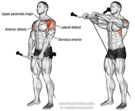 image of front deltoid exercise