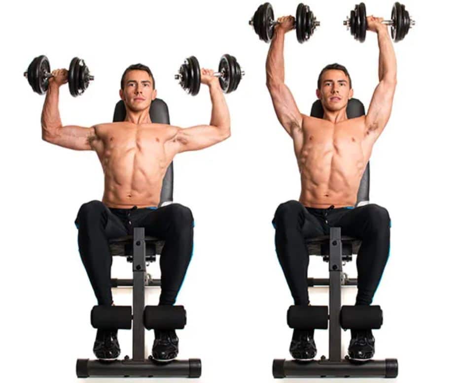 seated dumbbell press