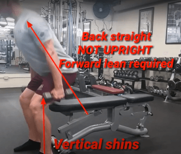 back position during bench squat