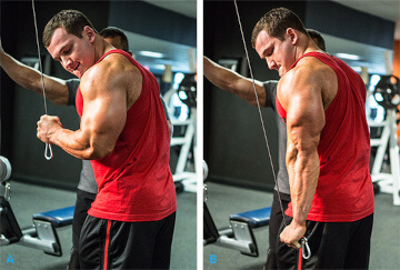one arm triceps extension 