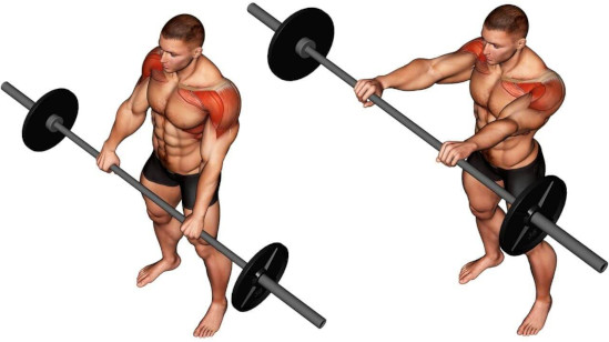 male diagram of the barbell front raise movement being performed.