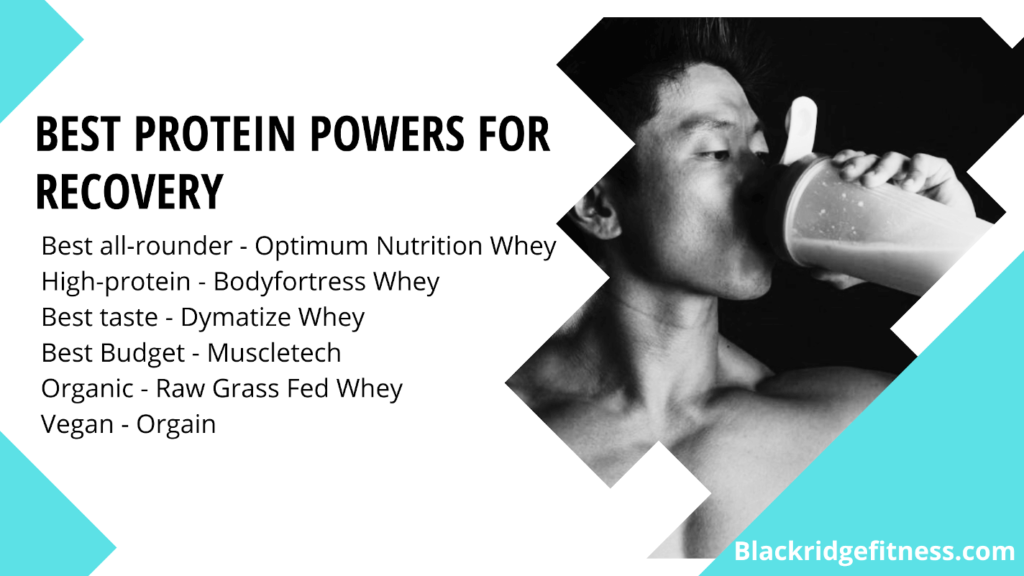 best whey protein powder banner